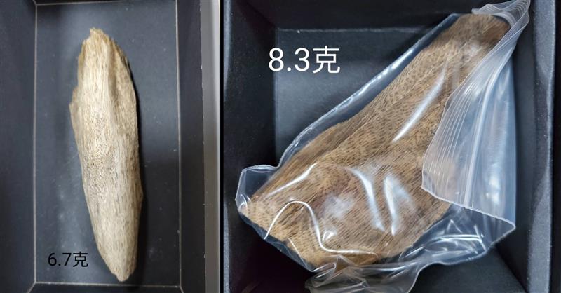 時代沉香